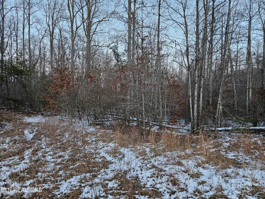 1234 Rodgers Rd, Crossville, TN 38572 - Image #3