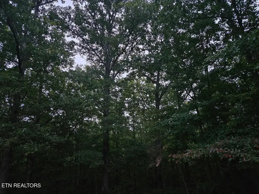 00 Sandy Rd N/o Rd, Wilder, TN 38589 - #3