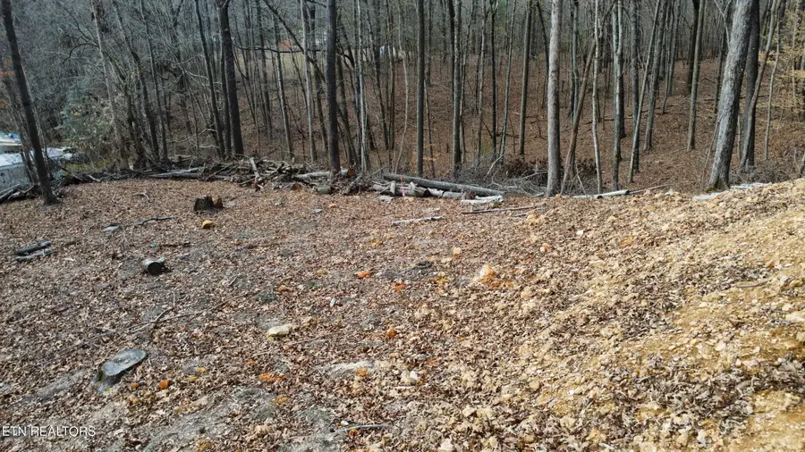 111 Scenic Drive, Harriman, TN 37748 - Image #2