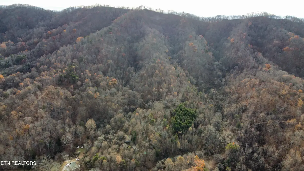 100 acres Elum Coffey Rd, Thorn Hill, TN 37881 - #1