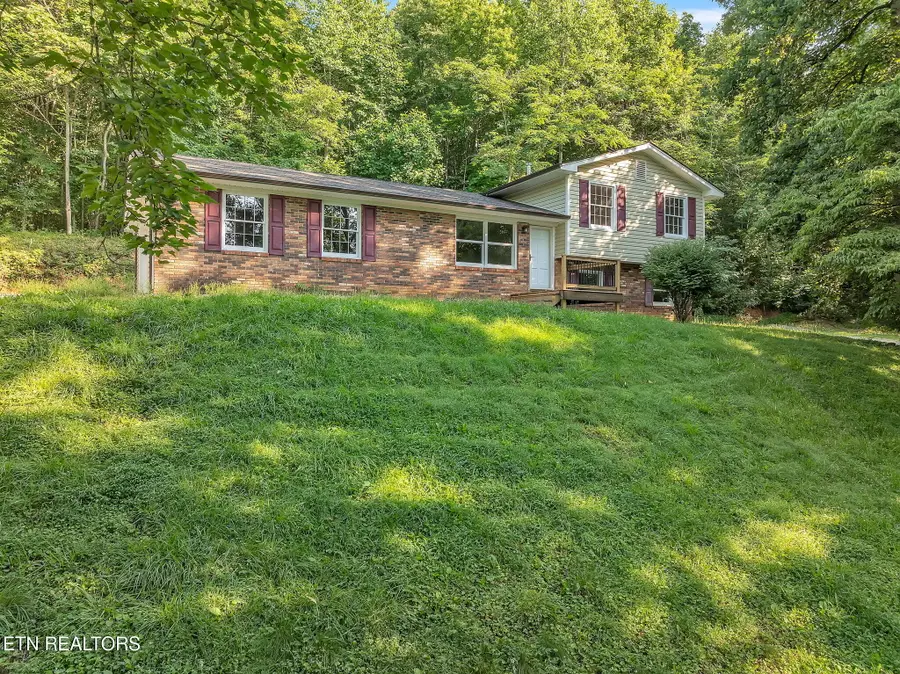 246 Robertson Lane, Caryville, TN 37714 - #2