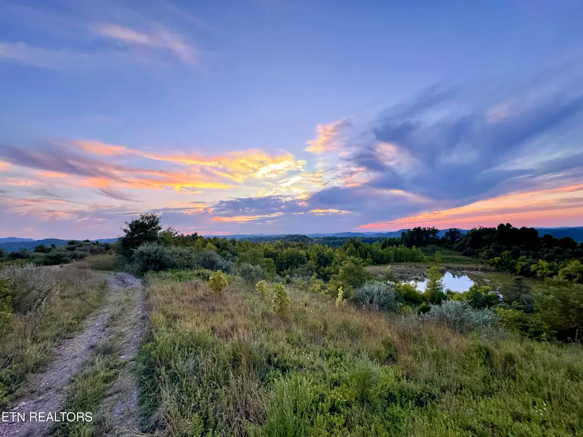 207 Lick Fork Lane, Pioneer, TN 37847 - #1