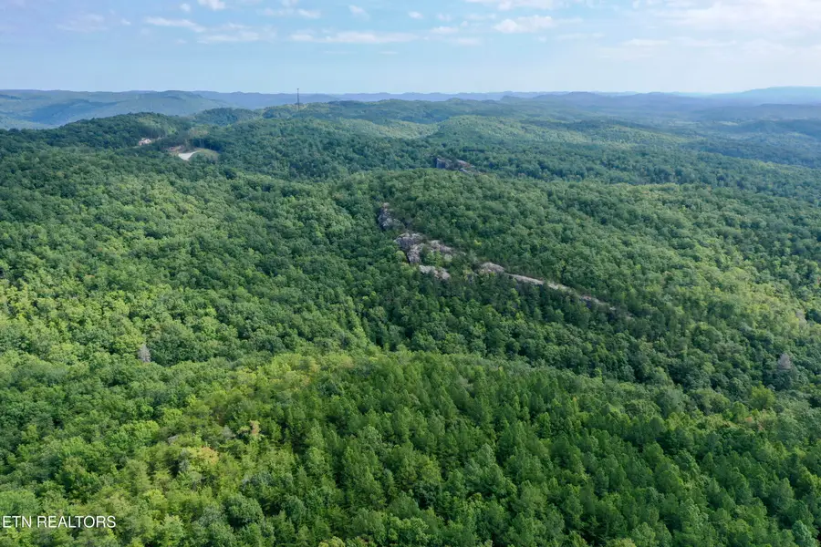 Stinking Creek Rd, Pioneer, TN 37847 - #3