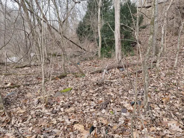 4266 Miser Station Rd. Rd, Louisville, TN 37777