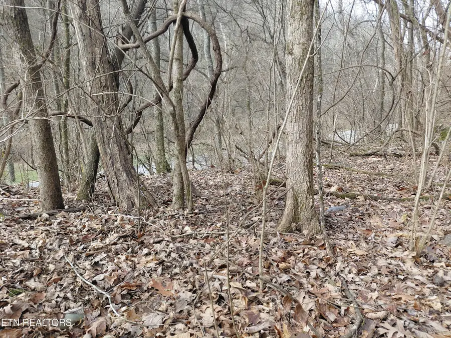 4266 Miser Station Rd. Rd, Louisville, TN 37777 - Image #2