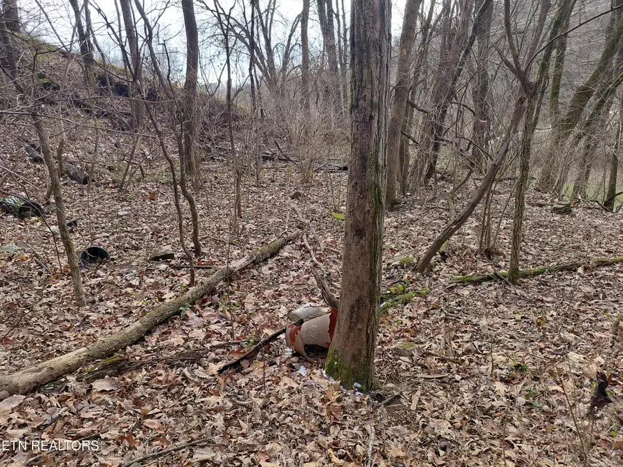 4266 Miser Station Rd. Rd, Louisville, TN 37777 - Image #3