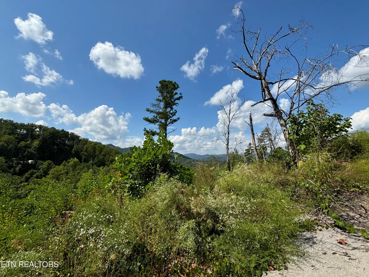 3217 Emerald Springs Loop, Sevierville, TN 37862 - #1