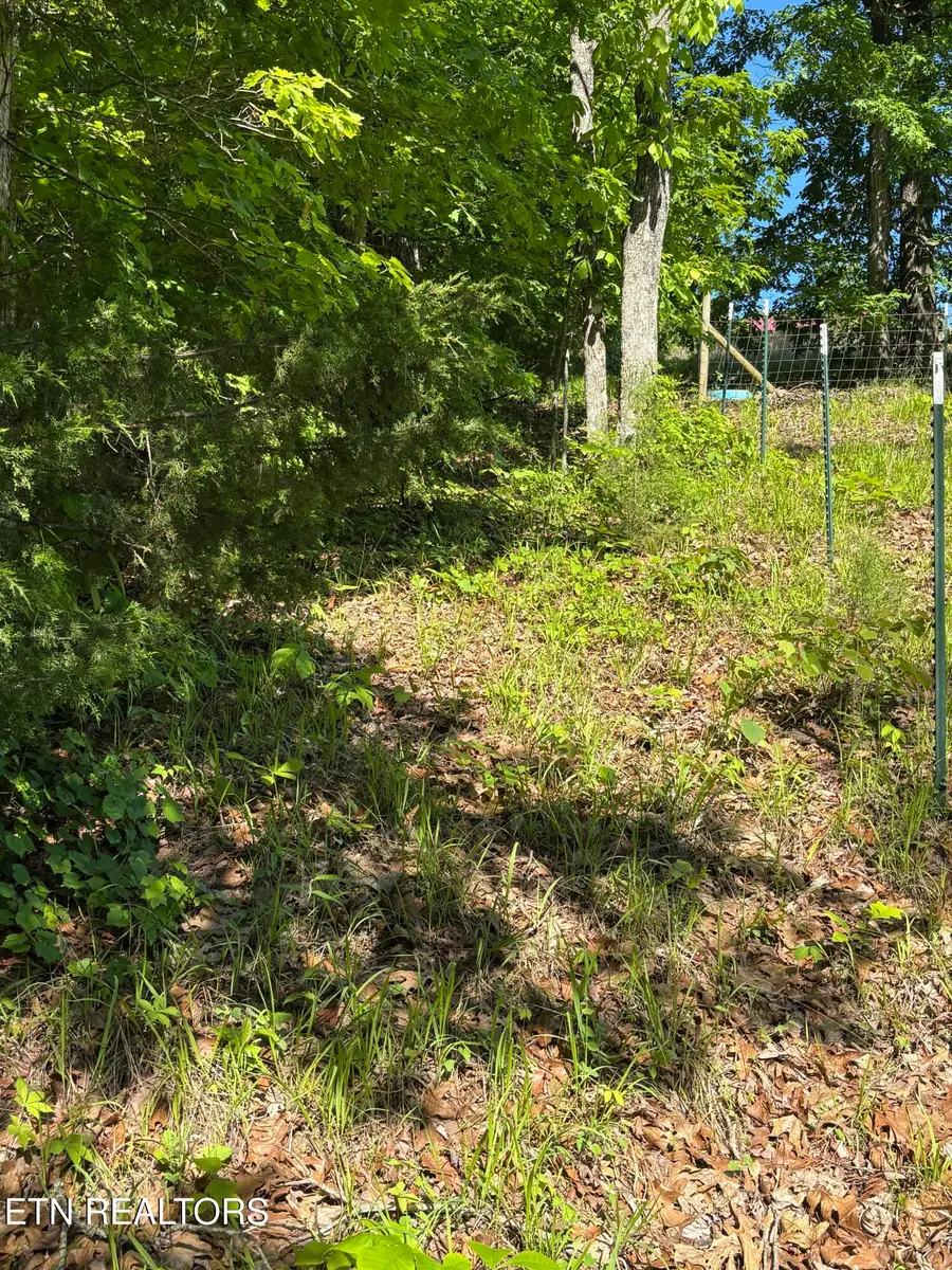 Van Davis Rd, Georgetown, TN 37336 - Image #2