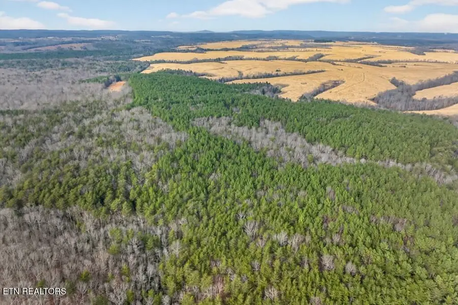 Tract 1 Lone Wolf Trail, Spencer, TN 38585 - #2