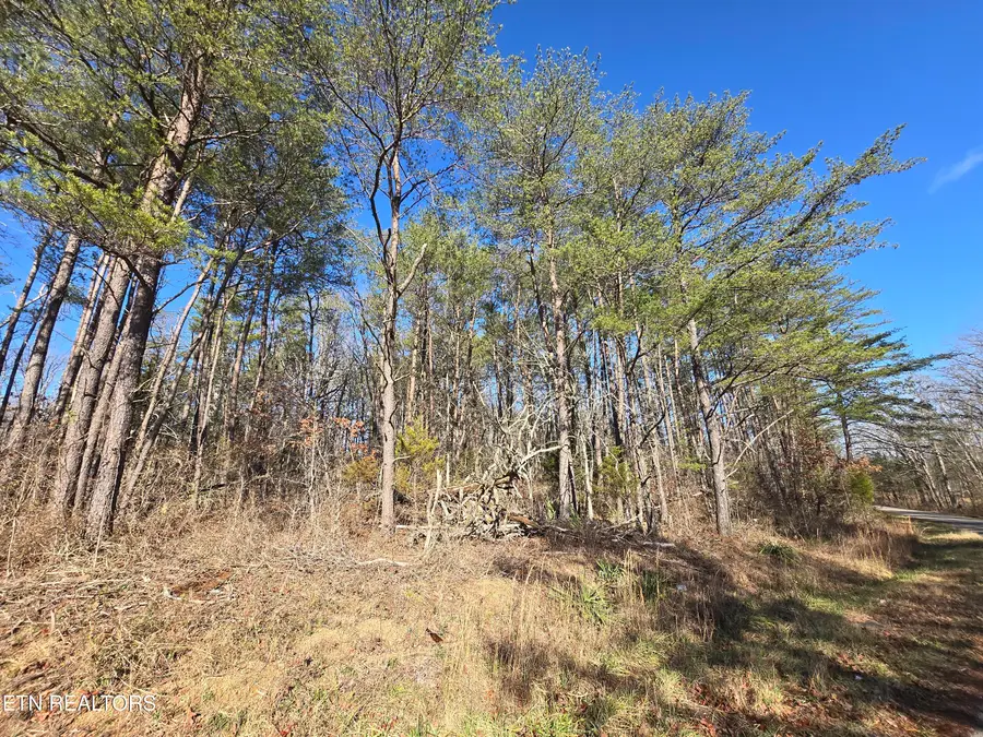 Old Highway 28, Crossville, TN 38555 - Image #2