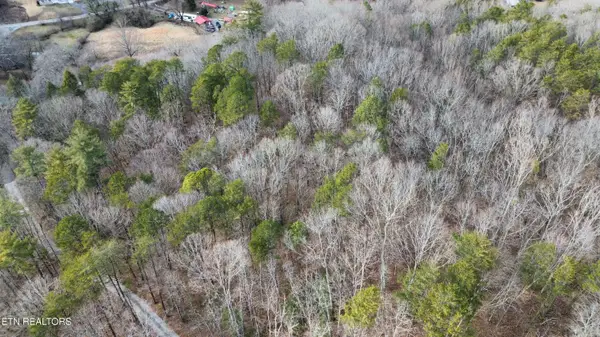 Charles Young Rd, Walland, TN 37886