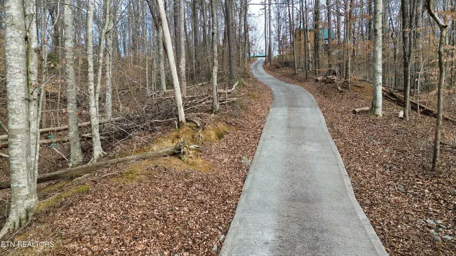 Charles Young Rd, Walland, TN 37886 - Image #2