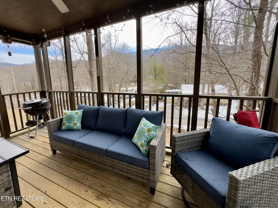 146 Hollow Rd, Cosby, TN 37722 - #2