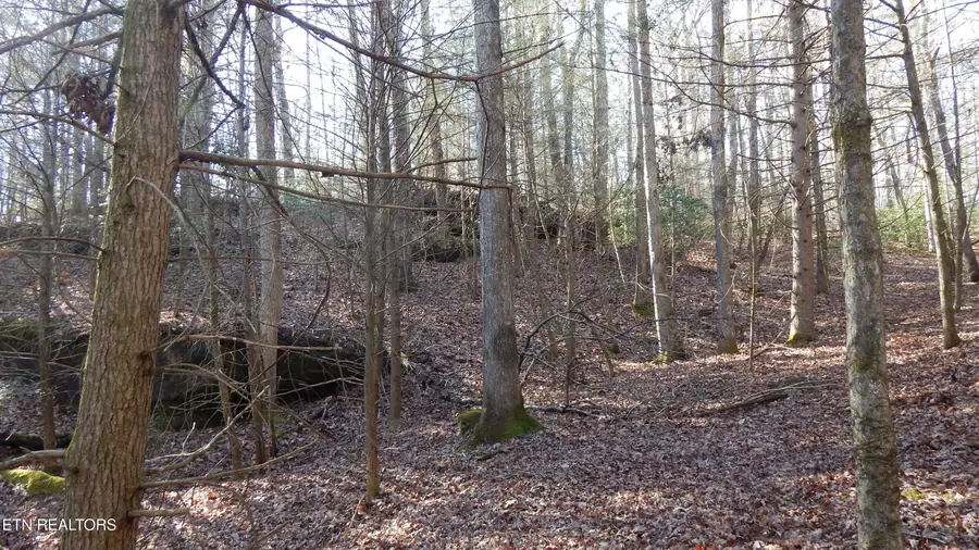 Bearpen Fork, Jamestown, TN 38556 - #2