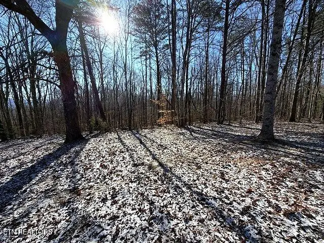 Under The Sun Rd, Cosby, TN 37722 - #3
