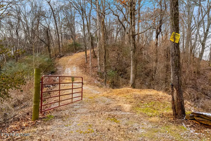 4129 Bear Hollow Loop, Louisville, TN 37777 - Image #2