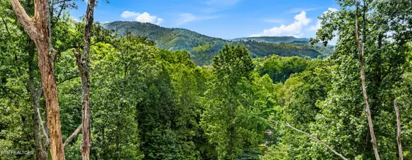 1119 E Kings Ridge Rd, Gatlinburg, TN 37738