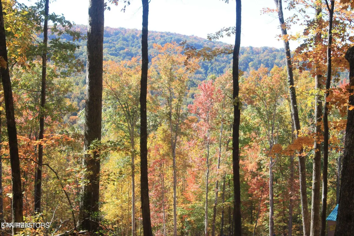 Cheyenne Drive, Jamestown, TN 38556 - #1