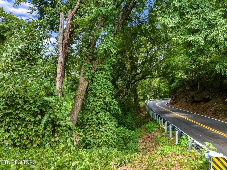 TBD Highway 66, Rogersville, TN 37857 - Image #2