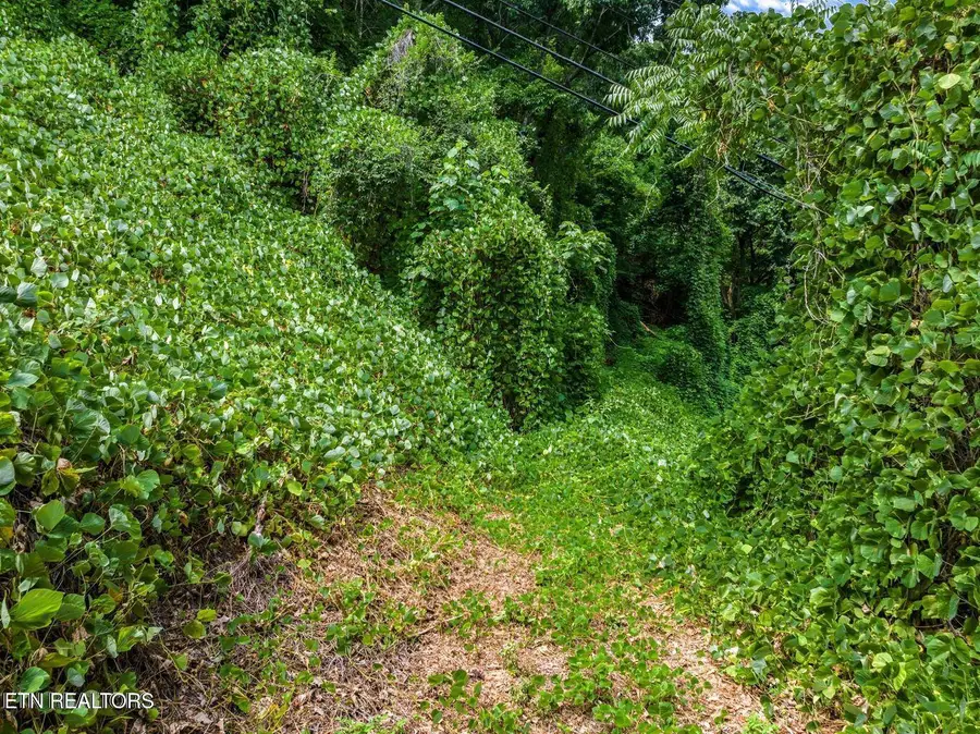 TBD Highway 66, Rogersville, TN 37857 - Image #3