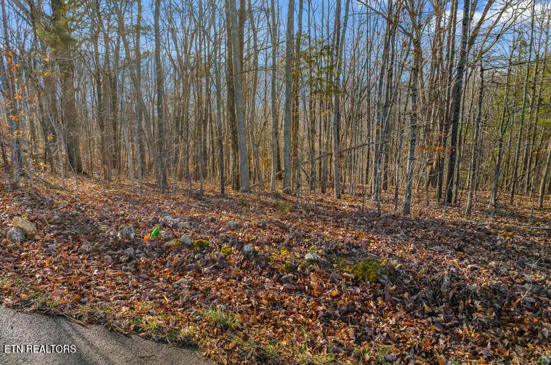 Overton Rd Lot 18/19, Maynardville, TN 37807 - #3