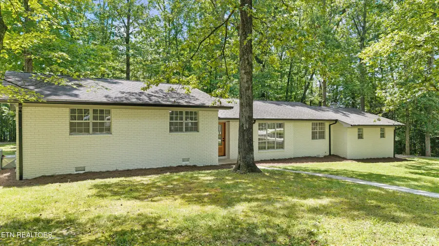 159 Sam's Boat Dock Rd, Ten Mile, TN 37880 - #2