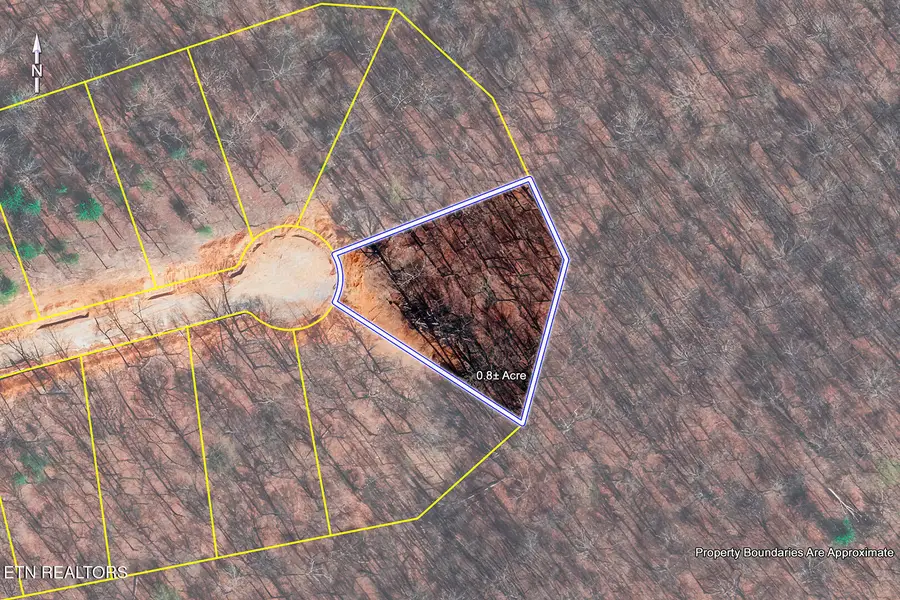 362 Flip Flop Way, Loudon, TN 37774 - Image #3