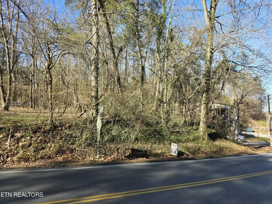 0 Conner Heights Rd, Pigeon Forge, TN 37863 - #2
