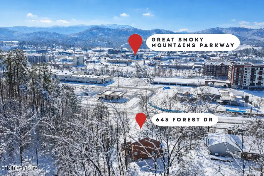 643 Forest Drive, Pigeon Forge, TN 37863 - #3