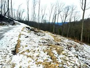 Lot 19-22 Demory Rd, Lafollette, TN 37766 - #3