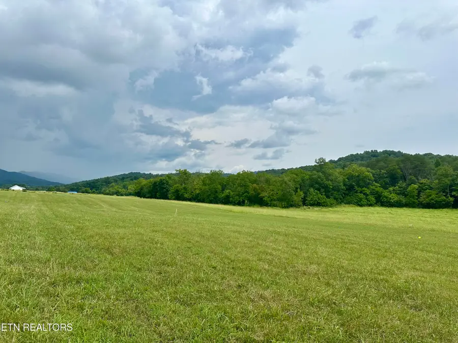 Lot 2 Rutledge Pike, Blaine, TN 37709 - Image #2