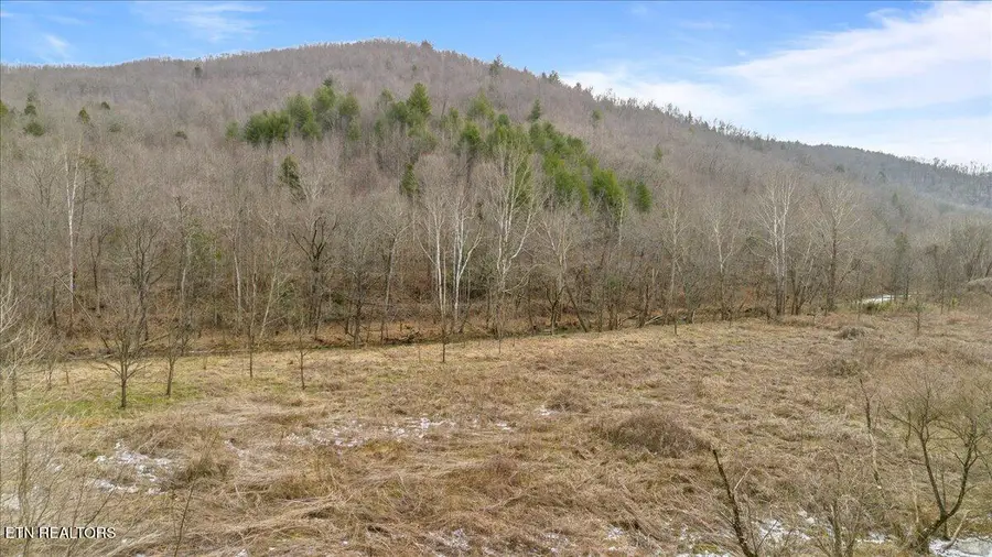 16 Acres Smokey Creek Rd, Huntsville, TN 37756 - Image #3