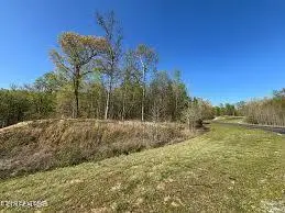 391 Thief Neck View Drive, Rockwood, TN 37854