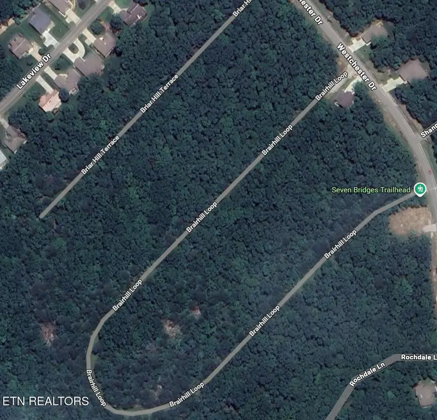 119 Briarhill Loop, Crossville, TN 38558 - Image #2