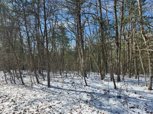 219 Newcastle Lane, Crossville, TN 38558