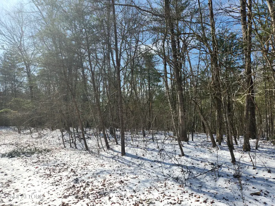 219 Newcastle Lane, Crossville, TN 38558 - Image #2