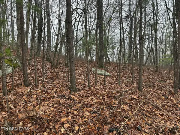 312 Rotherham Drive, Fairfield Glade, TN 38558