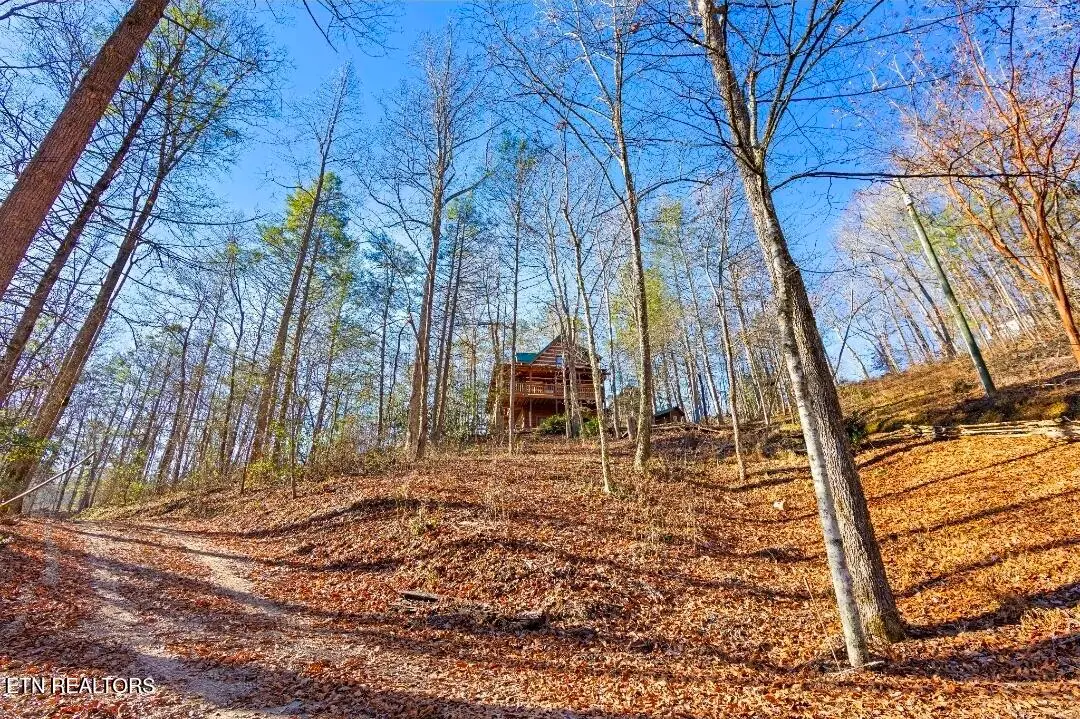 2845 Grassy Branch Rd, Sevierville, TN 37876 - #1