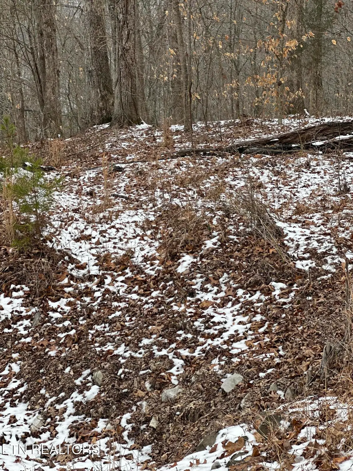 Lots 12 & 13 Sams Mountain Rd., Middlesboro, KY 40965 - Image #1