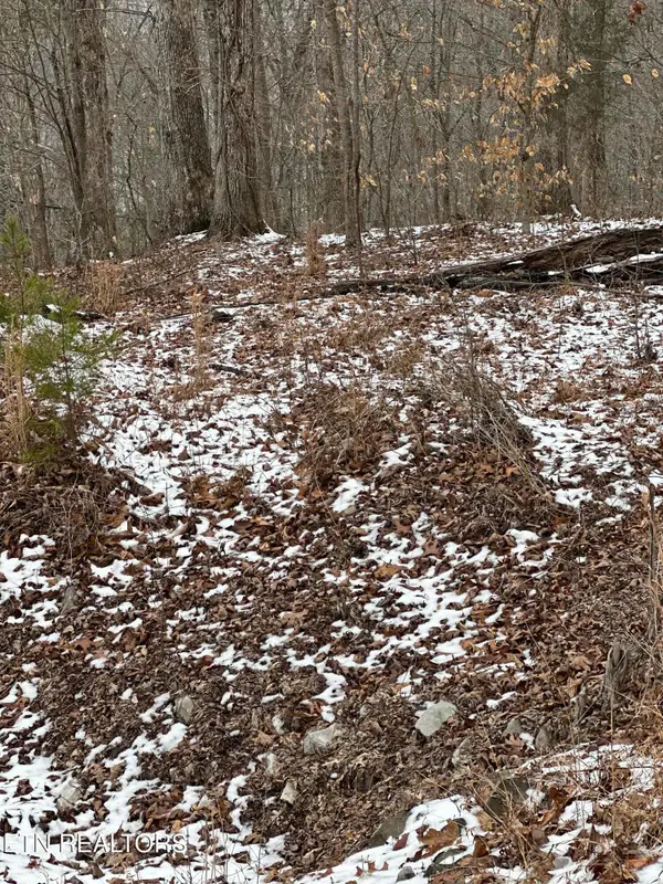 Lots 12 & 13 Sams Mountain Rd., Middlesboro, KY 40965