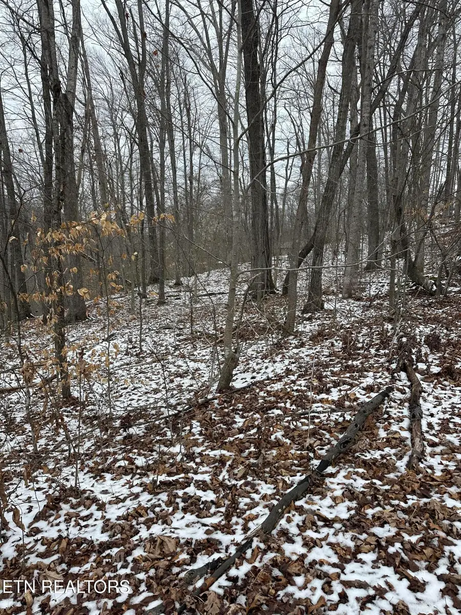 Lots 12 & 13 Sams Mountain Rd., Middlesboro, KY 40965 - Image #2