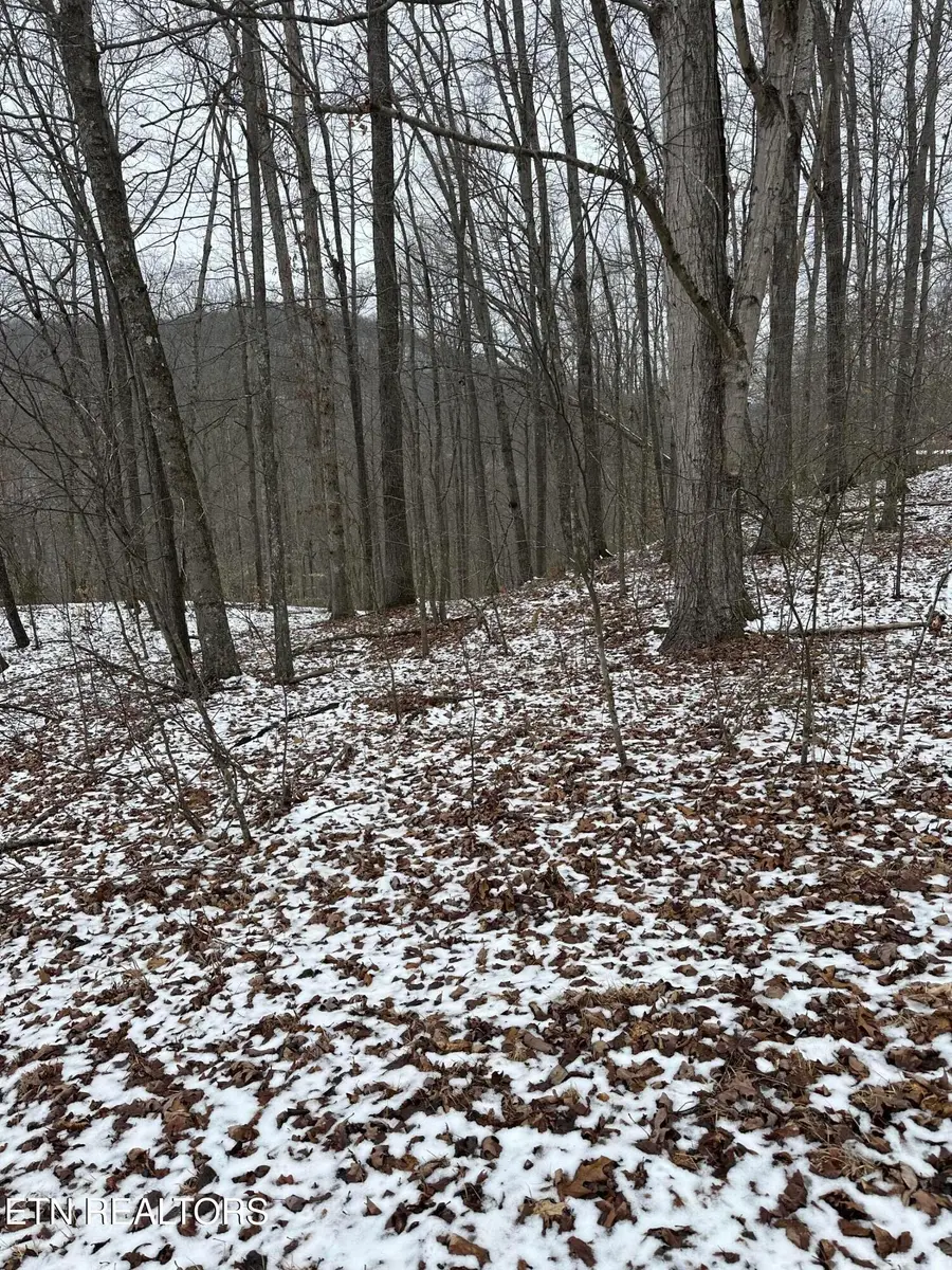 Lots 12 & 13 Sams Mountain Rd., Middlesboro, KY 40965 - Image #3