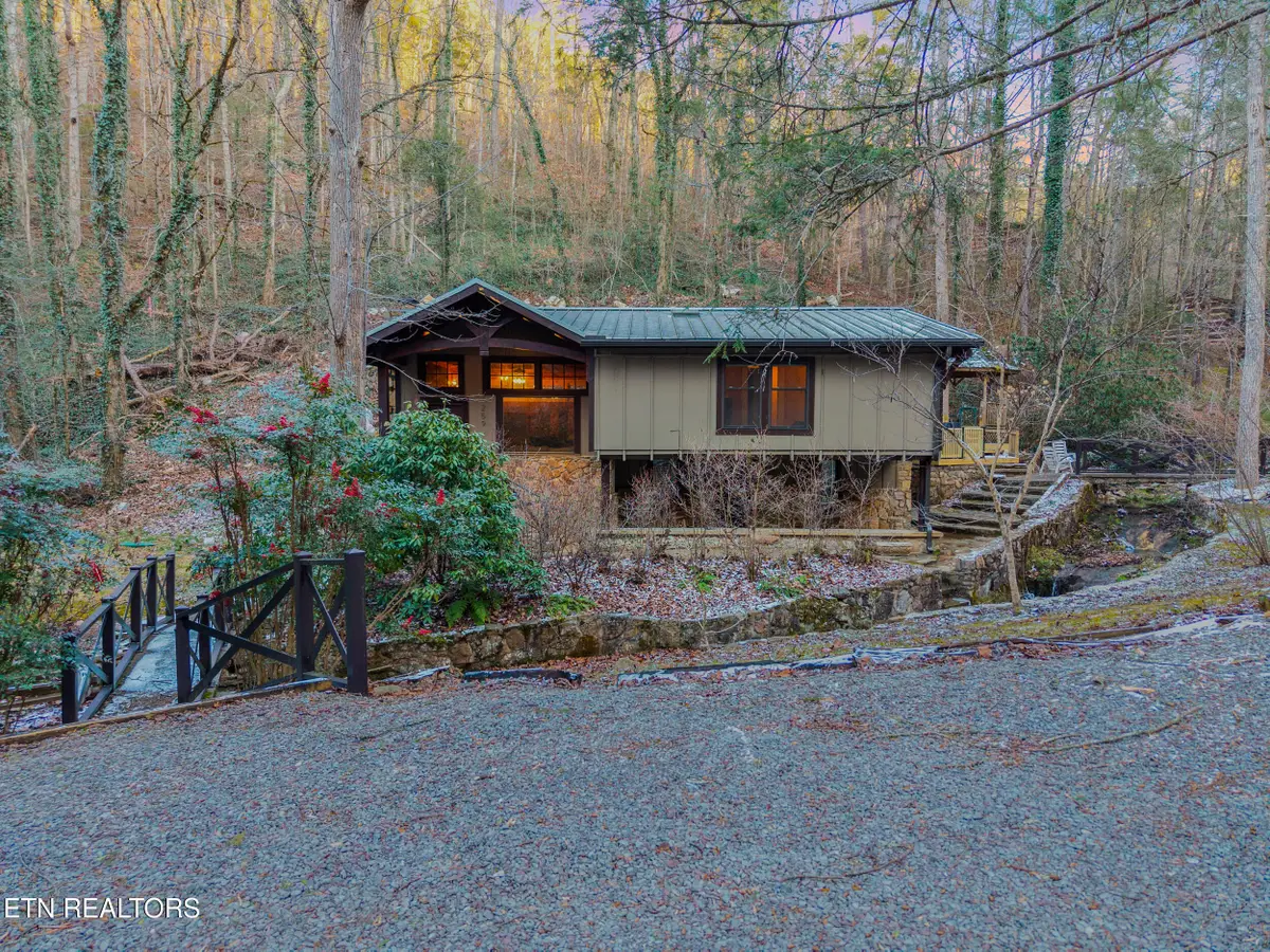 259 Black Mash Hollow Rd, Townsend, TN 37882 - Image #1