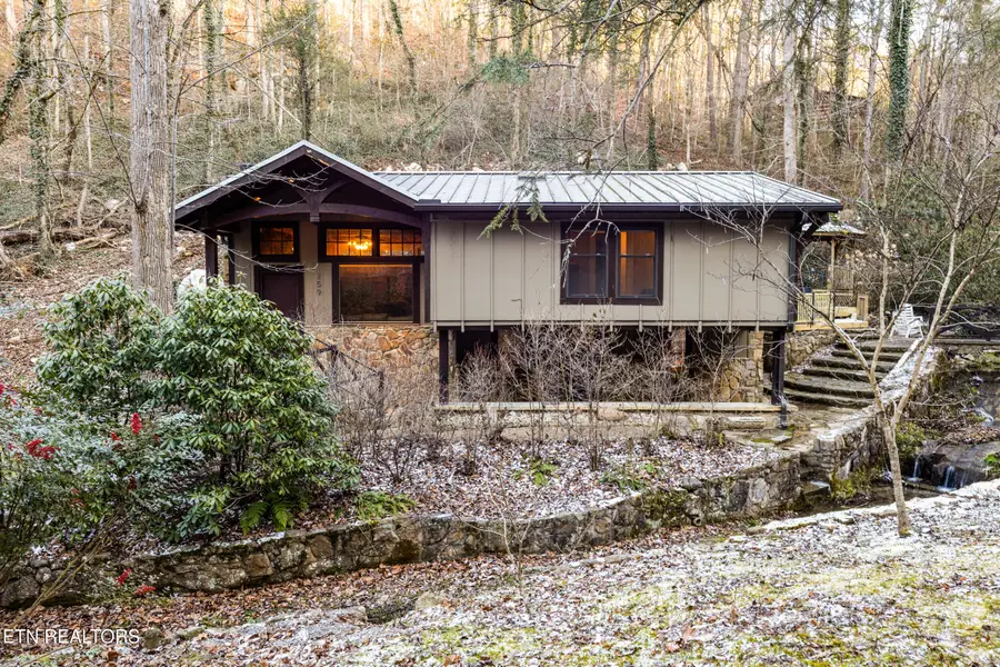 259 Black Mash Hollow Rd, Townsend, TN 37882 - Image #3