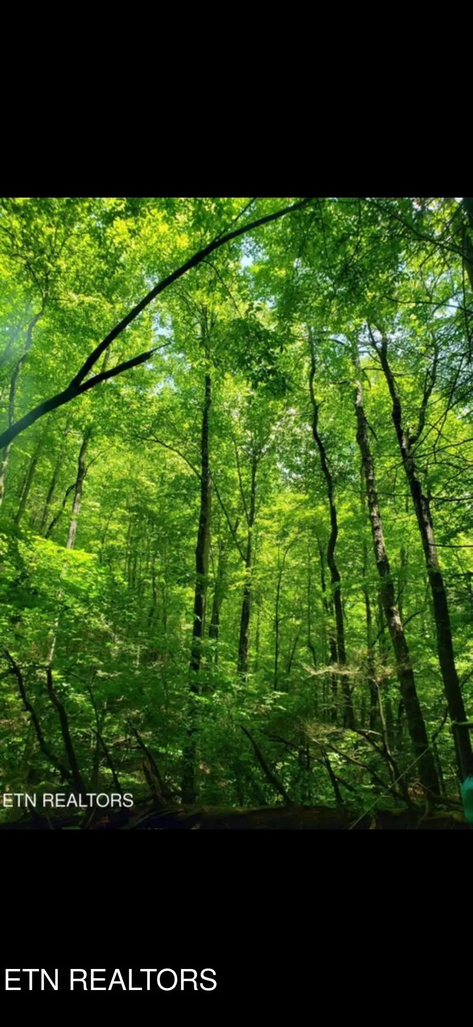 Watson Branch Lane, Speedwell, TN 37870 - #1