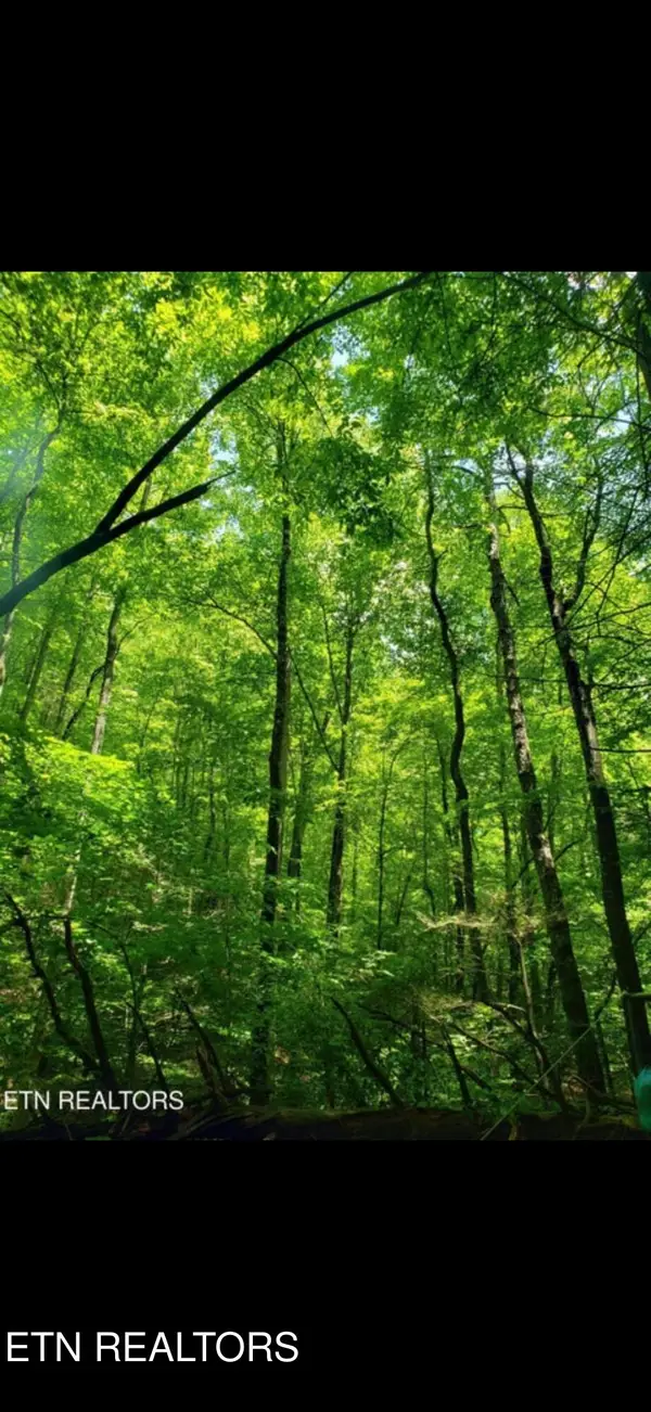 Watson Branch Lane, Speedwell, TN 37870