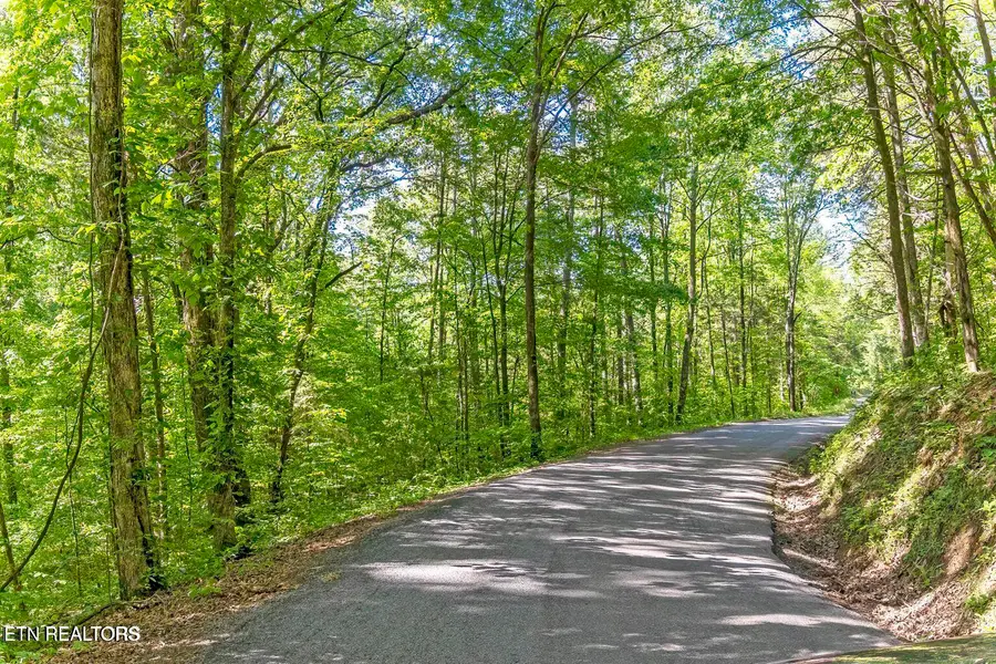 County Road 121, Athens, TN 37303 - #3