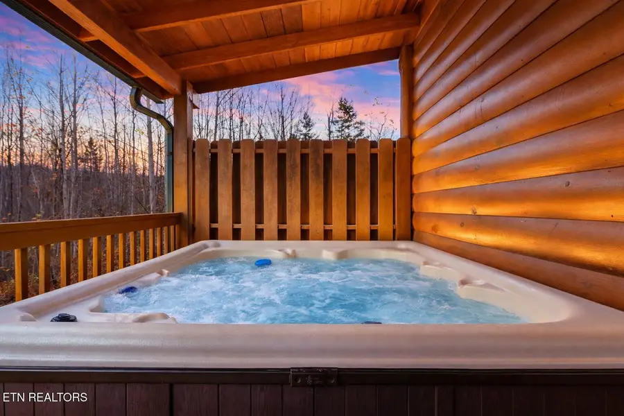 220 Amet Way, Cosby, TN 37722 - #3