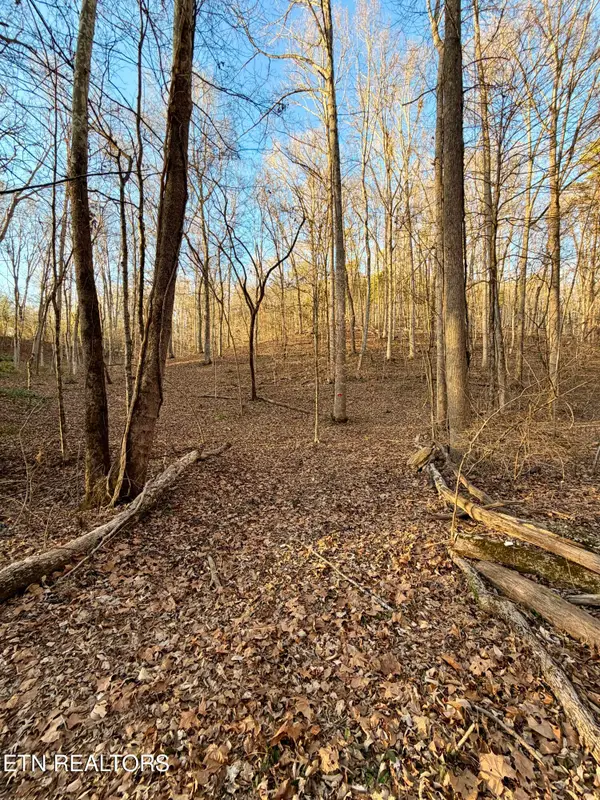 Old Highway 72, Maryville, TN 37801