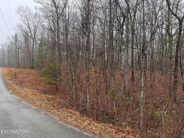 Arbutus Trail (aka Silcox Ford Rd S/0), Helenwood, TN 37755